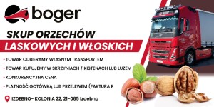 SKUP ORZECHÓW LASKOWYCH - FHU BOGER