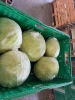 Witam sprzedam kapustę białą płaską market i przemysł zainteresowanych zapraszam ilości tirowe