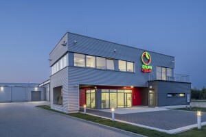 Witam, kupię śliwke fioletową 32+ oraz amers (mieszaniec) 40+ Zapraszam
