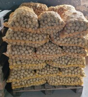 Sprzedam ziemniaki paszowe. Pakowane w worku po 15kg. Cena 20gr/kg