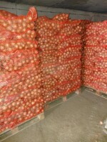Sprzedam cebulę z siewu Wiosennego worek 10 kg ilości tirowe
