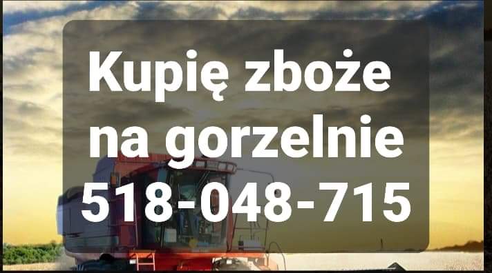 zdjecie-1