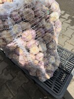 Posiadam do sprzedania duże ilości czosnku w pęczku 4,5-40gr i 5-60gr.