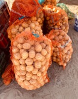 Ziemniaki GALA / RED SONIA  15 kg pakowane