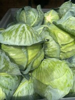 Sprzedam kapustę białą na świeży rynek. Cena 80gr/kg. Waga od 2,5- 4kg. Posiadam również kapustę stożkową, cebulę białą, żółtą, czerwoną, szalotkę, se