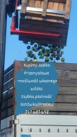 P.H.U.LUKAPOL ŁUKASZ JAKUBCZYK  KUPIĘ Przerywkę oraz JABŁKO PRZEMYSŁOWE mokre/suche