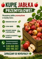 Kupimy jabłka przemysłowe. Zapraszamy producentów do współpracy. Szybka płatność GOTÓWKA/ PRZELEW Turowice 44a tel. 538 468 393
