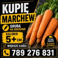Inne warzywa też , pietruszka seler itd