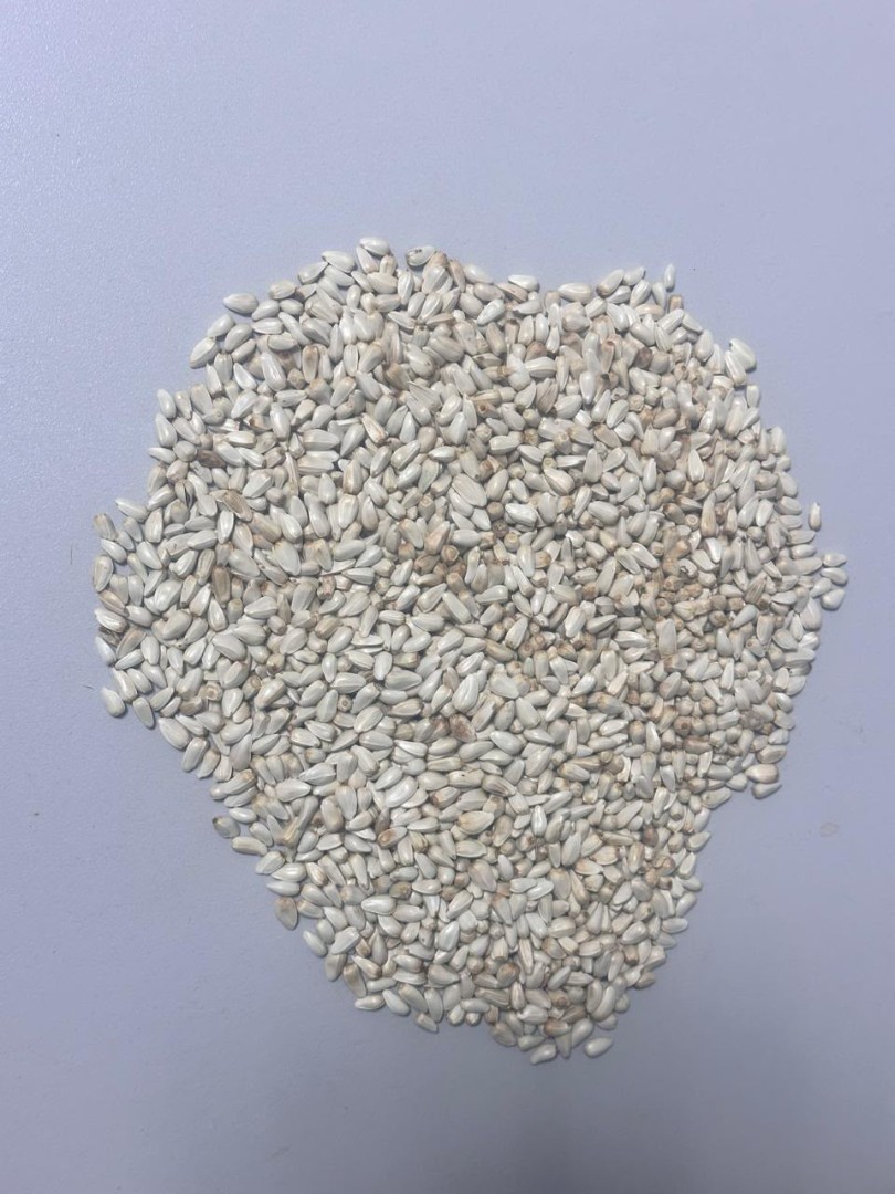 zdjecie-1