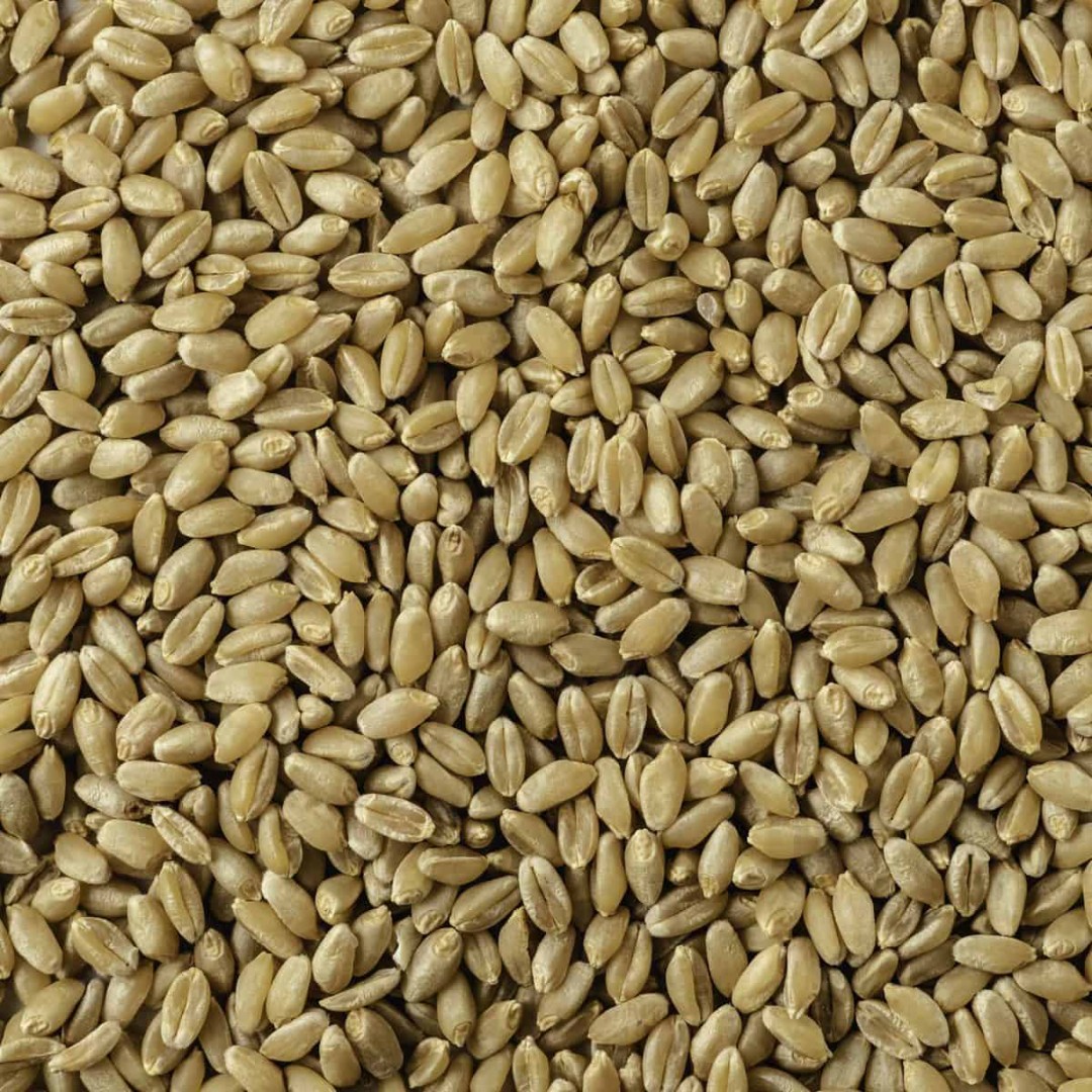 zdjecie-2