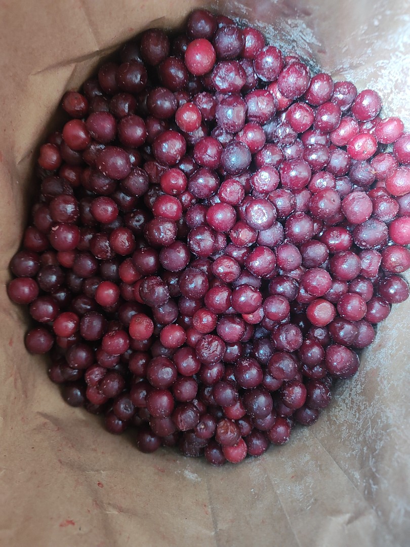 zdjecie-1