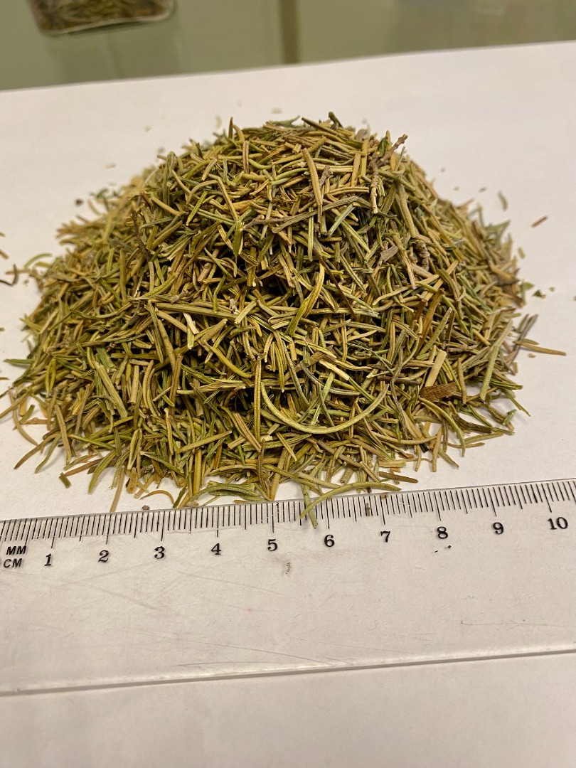 zdjecie-2