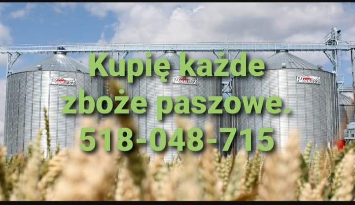 zdjecie-1