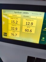 Sprzedam 200 ton pszenicy konsumpcyjnej waga na miejscu załadunek 5 minut
