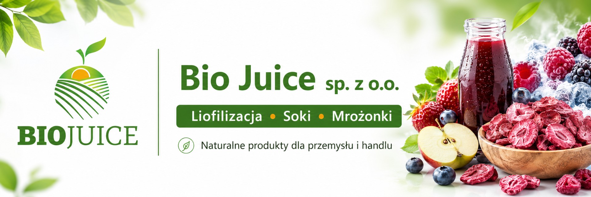 zdjecie-1