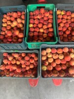 dzień dobry mam do sprzedania brzoskwinie inkę 100 paczek flamina 80 paczek oraz 10 Prince Diamond
