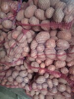 Sprzedam ziemniaki Bellarosa Soraya. Ziemniaki pakowane w worki 15 kg.
Cena za worek 9 zł.
Ilości busowe.