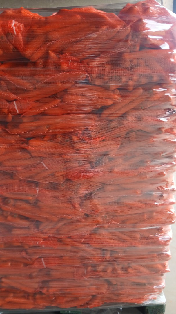 zdjecie-1