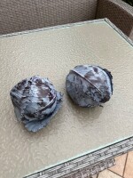 Sprzedam ładną, czystą kapustę czerwoną, marketowa. Od 1 do 2,5 kg. Większe ilości