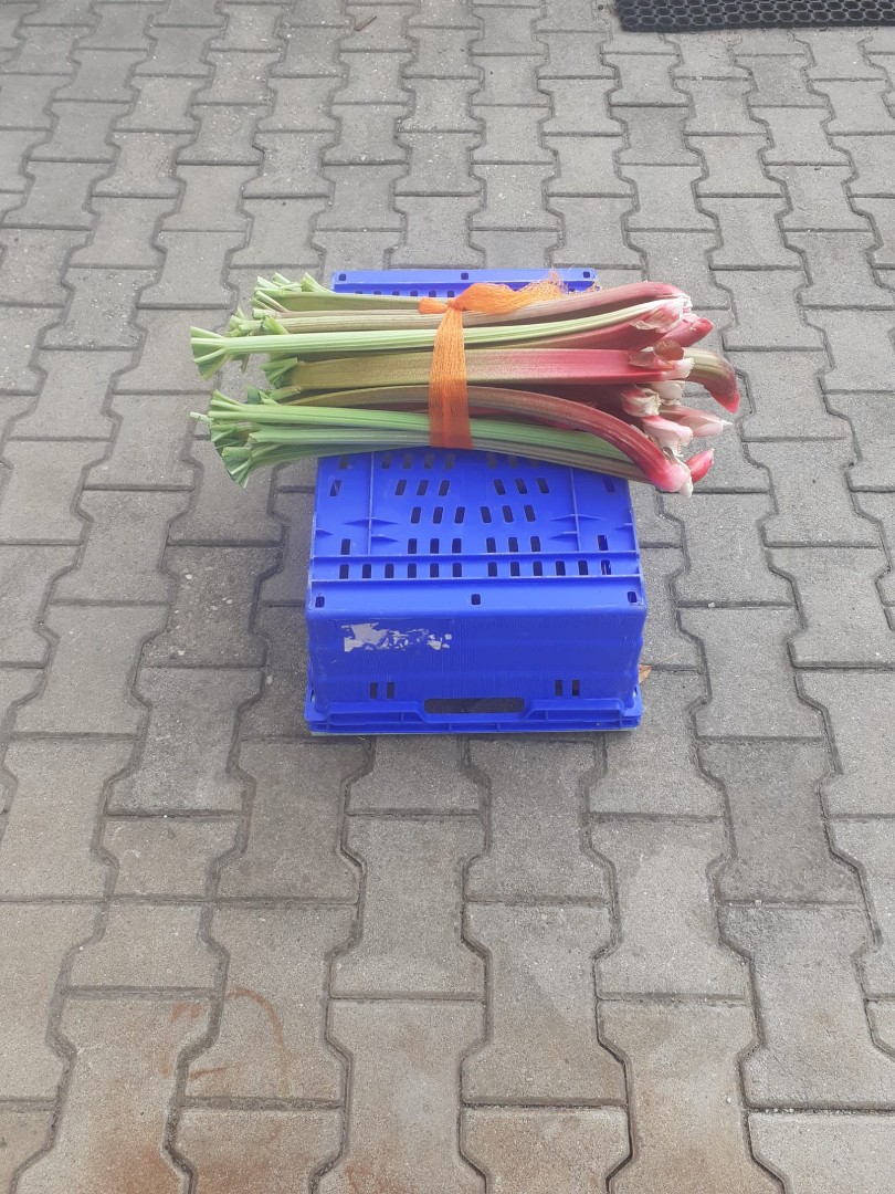 zdjecie-3