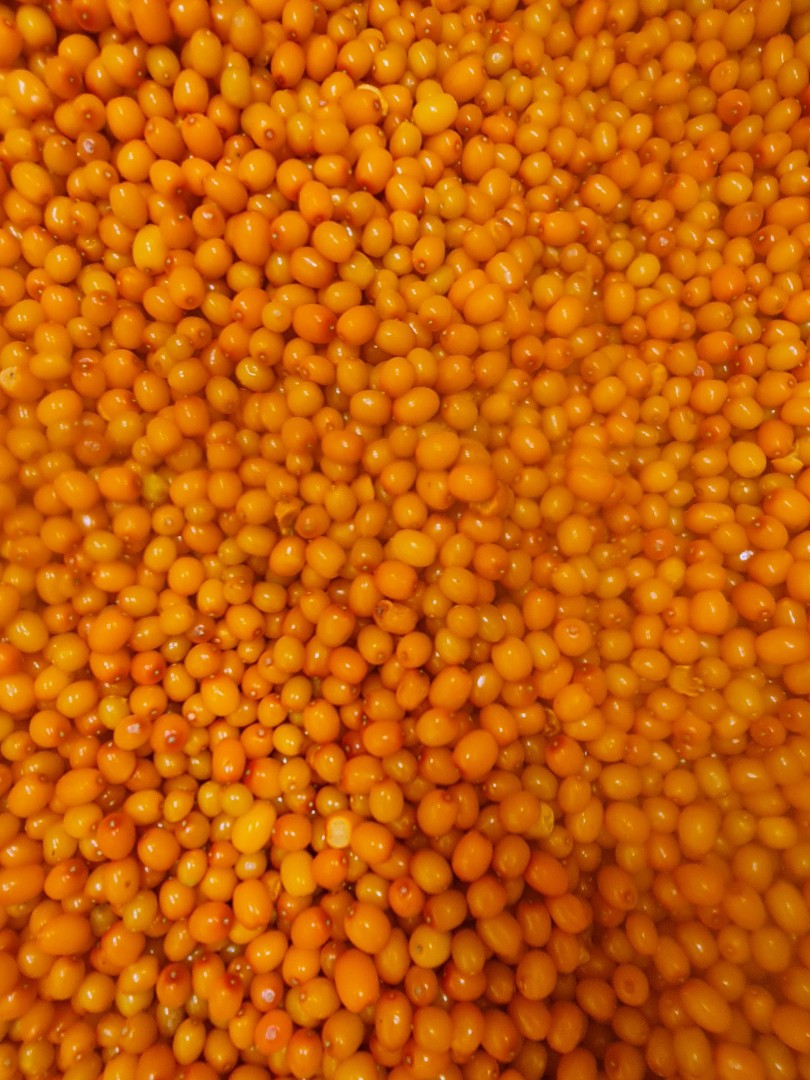 zdjecie-2