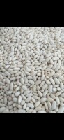 Fasola biała drobna sprzedam 180÷200 szt /100 gram