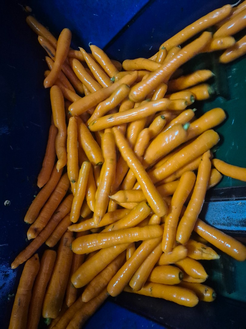 zdjecie-1
