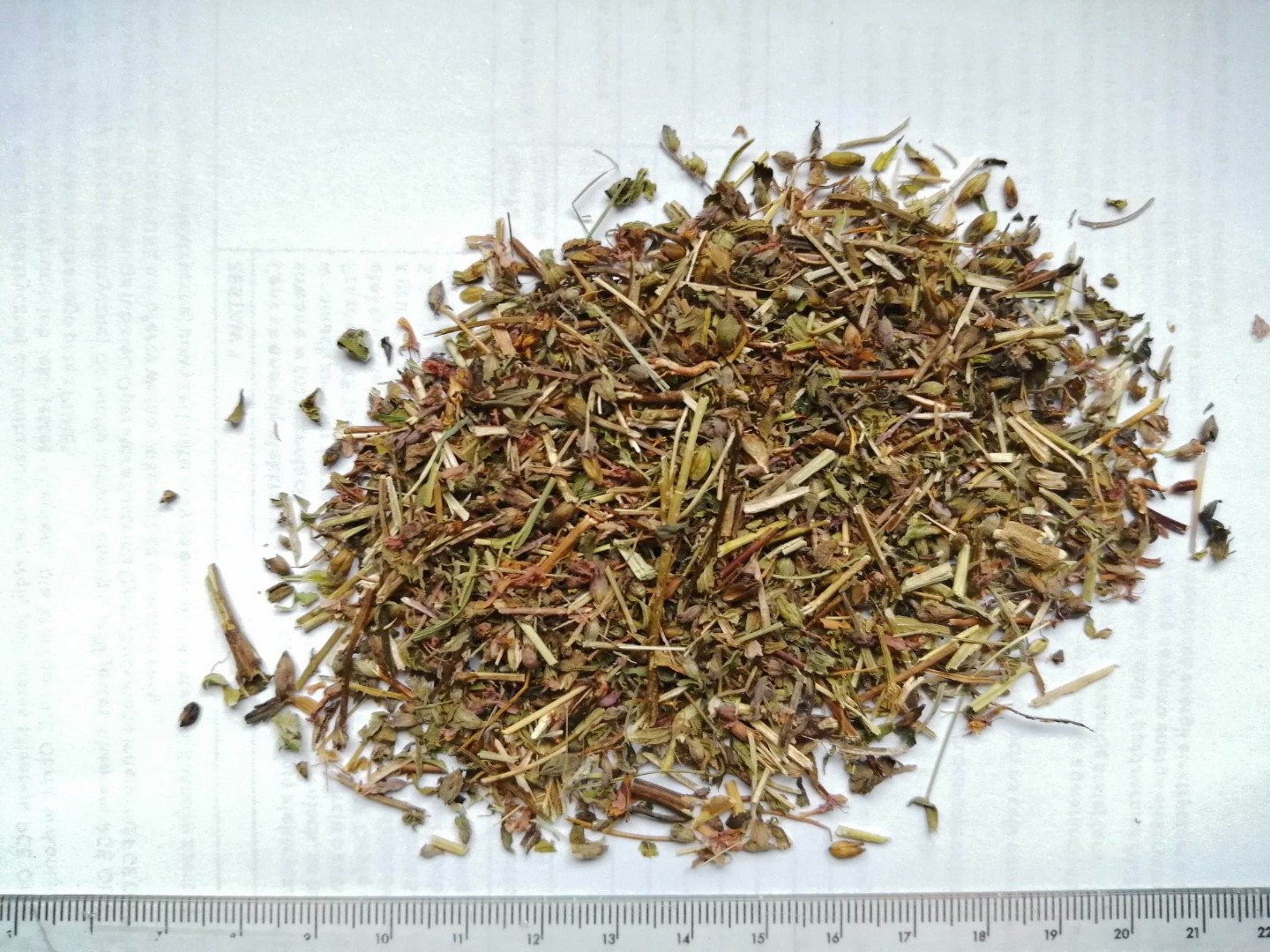 zdjecie-1