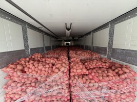 Kupię ziemniaki czerwone  Pakowane big Bag , worek 15 kg ilości tirowe