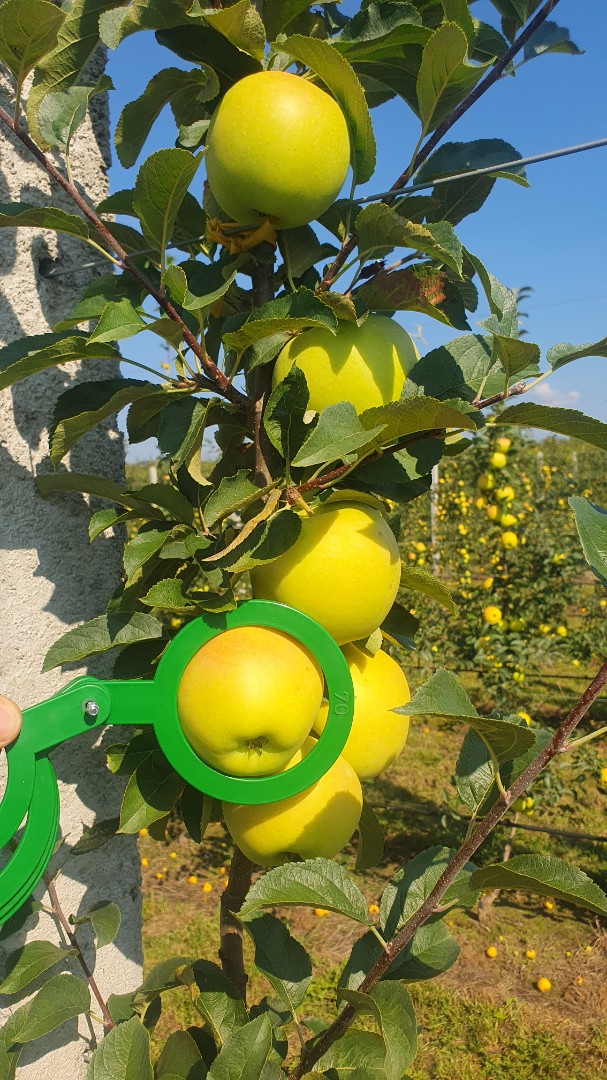 zdjecie-4