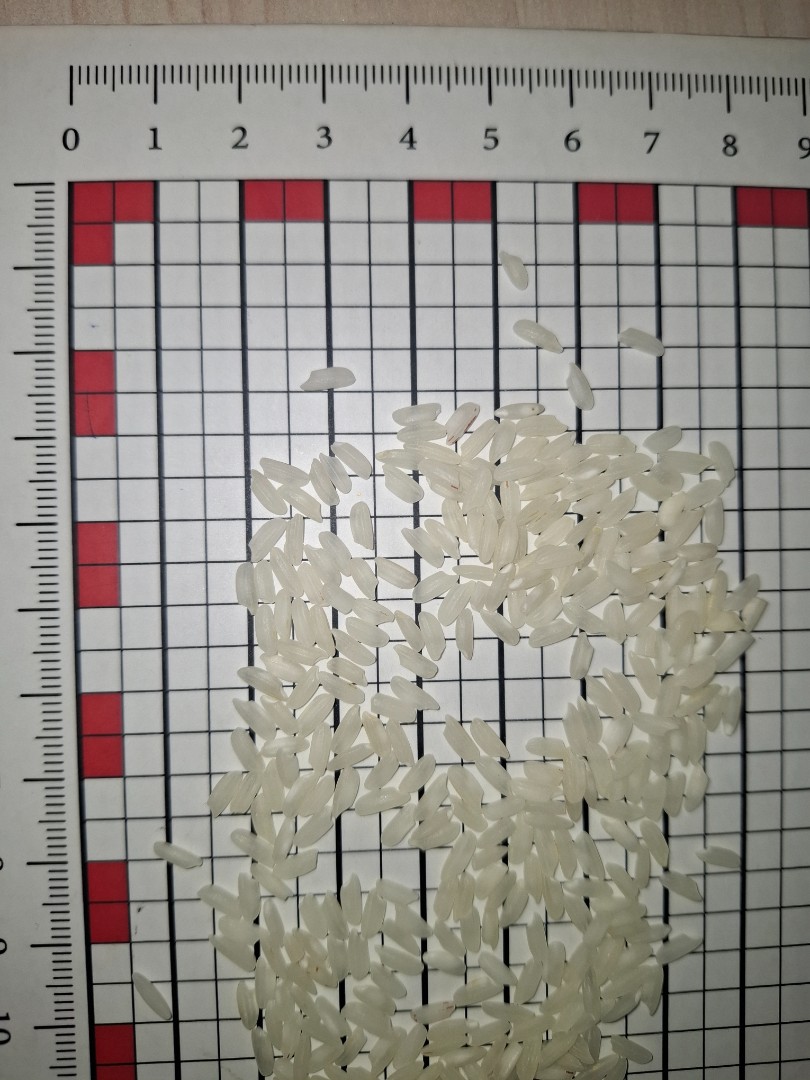 zdjecie-1