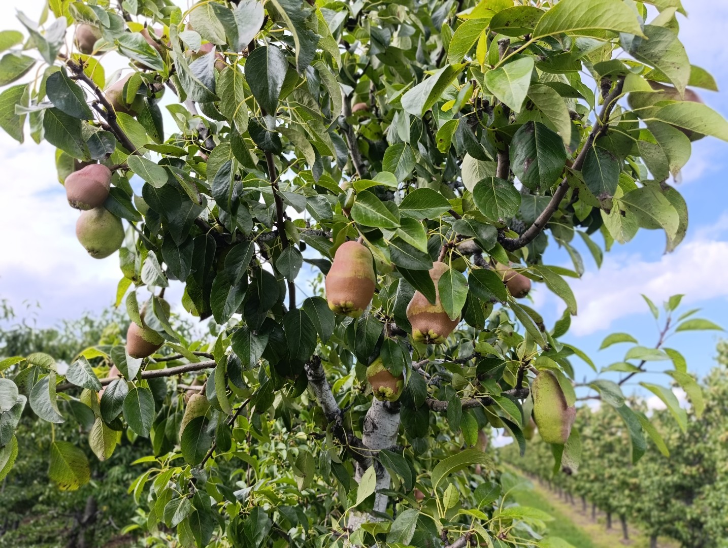 zdjecie-2