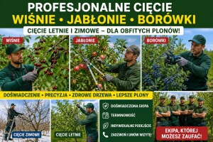 Cięcie sądów letnie zimowe wiśnia jabłoń borówki ekipa