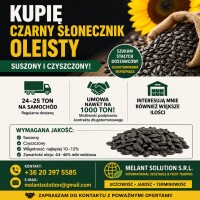 🌻 KUPIĘ CZARNY SŁONECZNIK OLEISTY 
Kupuję suszony i czyszczony czarny słonecznik oleisty!

📦 Partie po 24–25 ton na samochód
📈 Interesują mnie równ