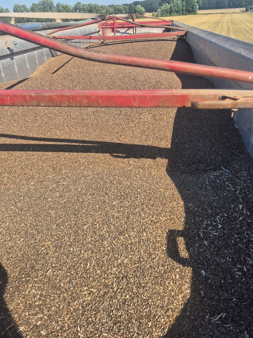 zdjecie-1