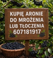 Zakupię Aronie do mrożenia lub tłoczenia oferuje dogodne warunki wspolpracy zapraszam do kontaktu