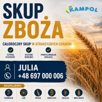 ELEWATOR KAMPOL  RUSIEC – skupuje : Lubin Facelię ,Pszenicę, Jęczmień, rzepak,  groch ,seradelę , gorczycę  , soczewicę , grykę.