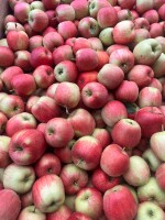 Sprzedam  jabłka  Sisi Red 30 skrzyń  z ładnym rumieńcem