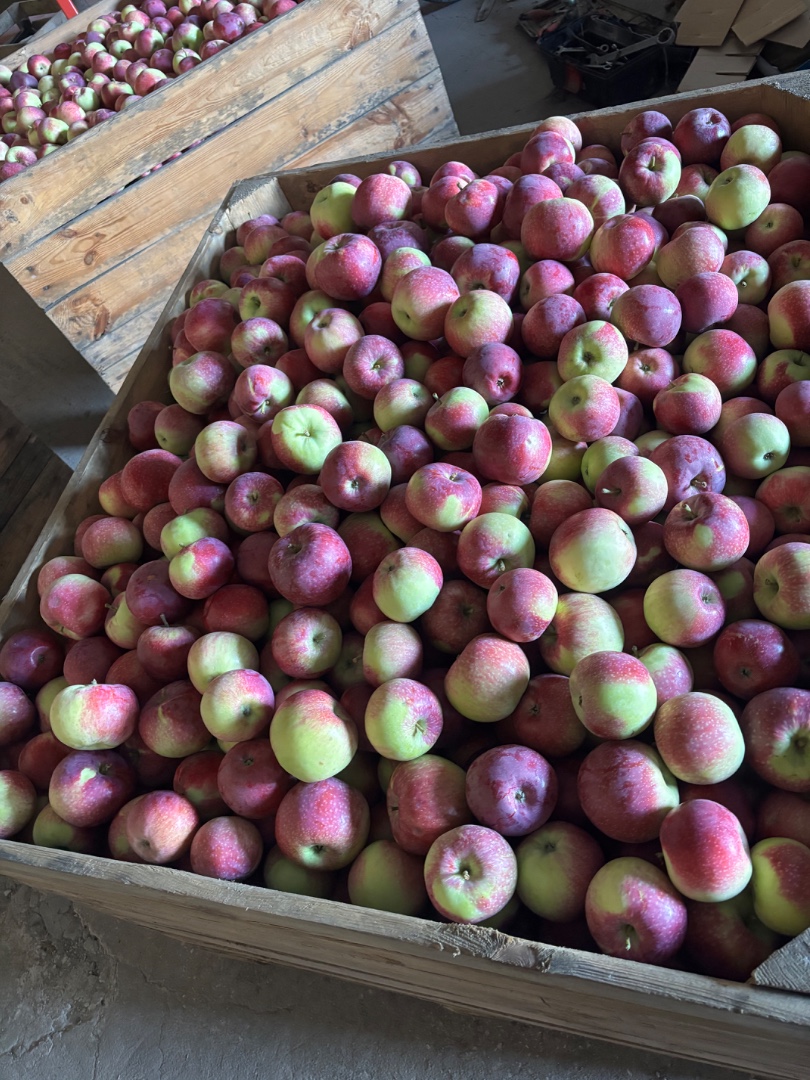 zdjecie-2