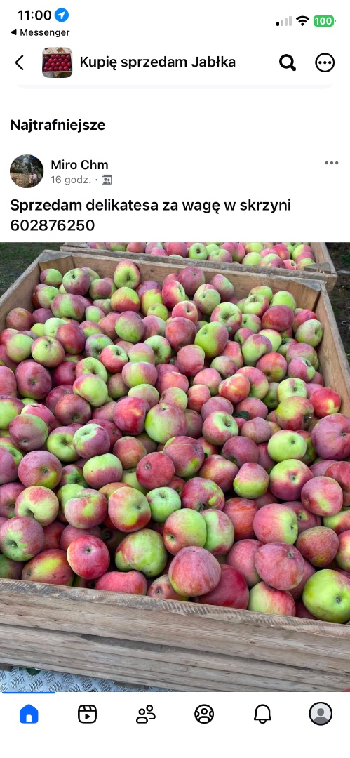 zdjecie-1