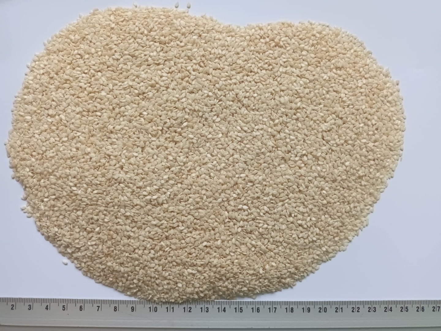zdjecie-1