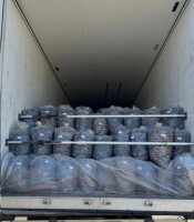 Мы предлагаем на продажу молдавские сливы на проьышленость. Доставка полными грузовиками.