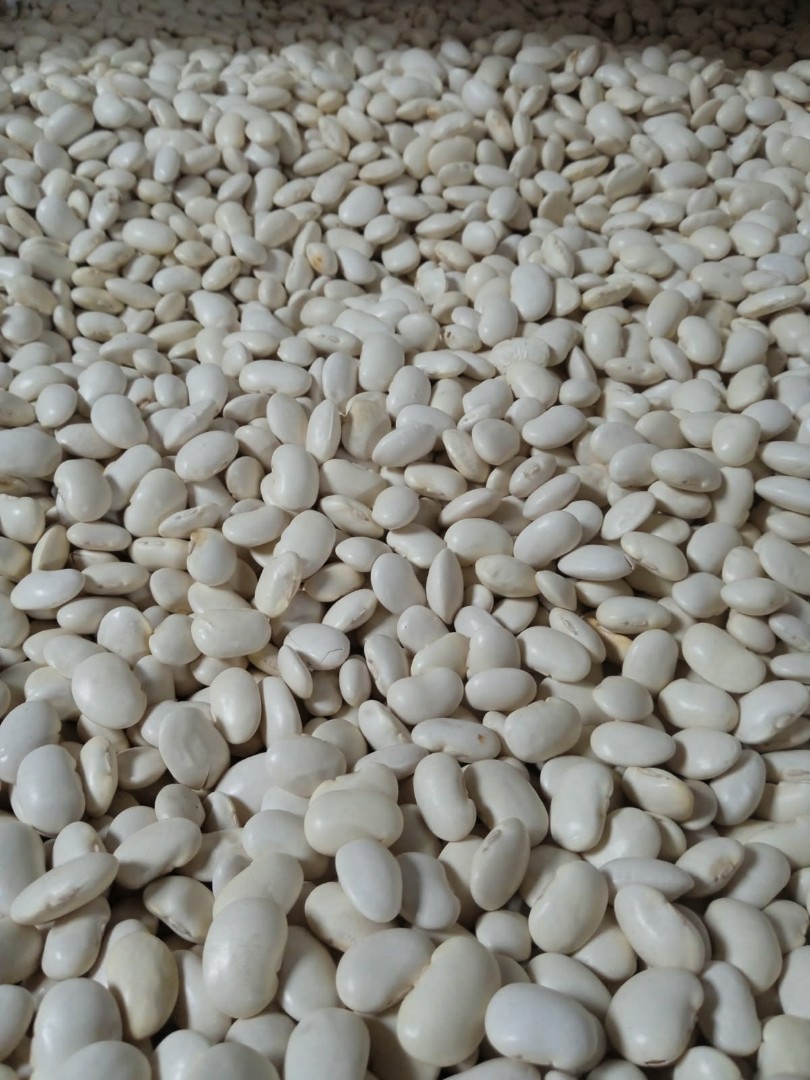 zdjecie-1