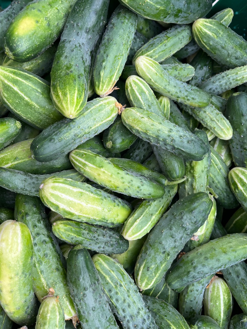 zdjecie-2