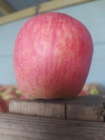 Sprzedam