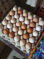 Sprzedam jajka ściółkowe od rolnika kury karmione zbożem i kukurydzą bez żadnych dodatków czy antybiotyków dostępna M ( 57-62 ) gramy