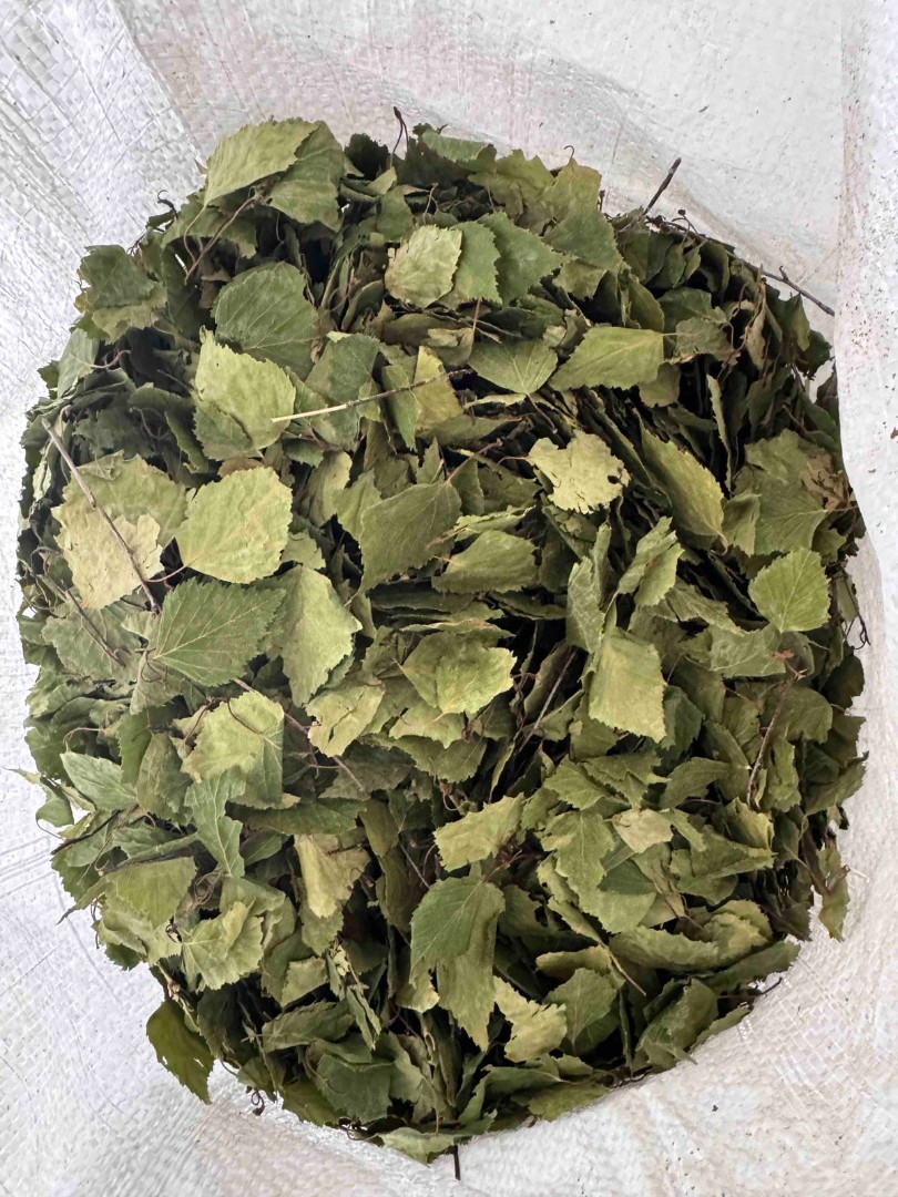 zdjecie-1