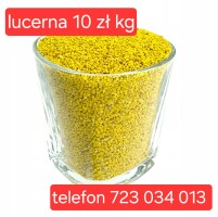 NOWA NIŻSZA CENA 
lucerna prosto od producenta sprawdzona partia ładne czyste nasiona bez śmieci i wilgoci

WORKI ORYGINALNE, Z LOGO PRODUCENTA I ETYK