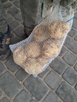 Witam naszykuje seler młody pod zamówienie kaliber 0.3-0.9 cena 1.5zł kg