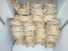 chrzan w paczkach 5kg , dowiozę w każde miejsce w PL